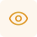 Vision Icon